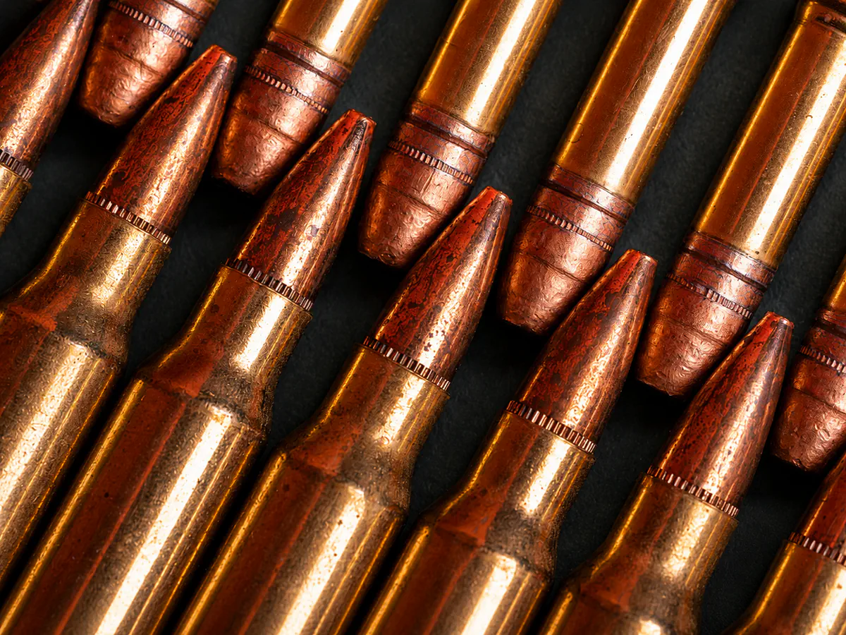 223 kontra 22 LR