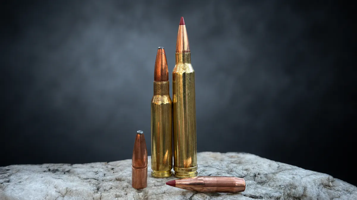 .300 Win Mag vs .308 Win